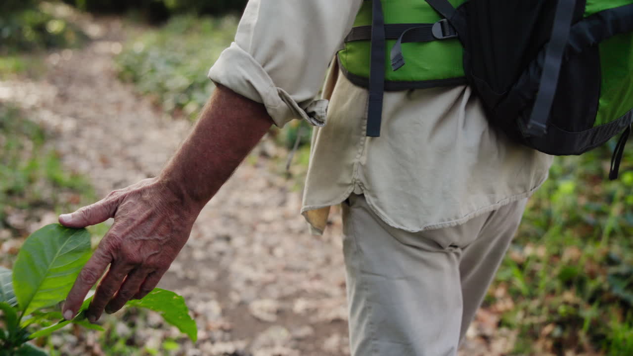 Senior Man Hiking on Forest Trail