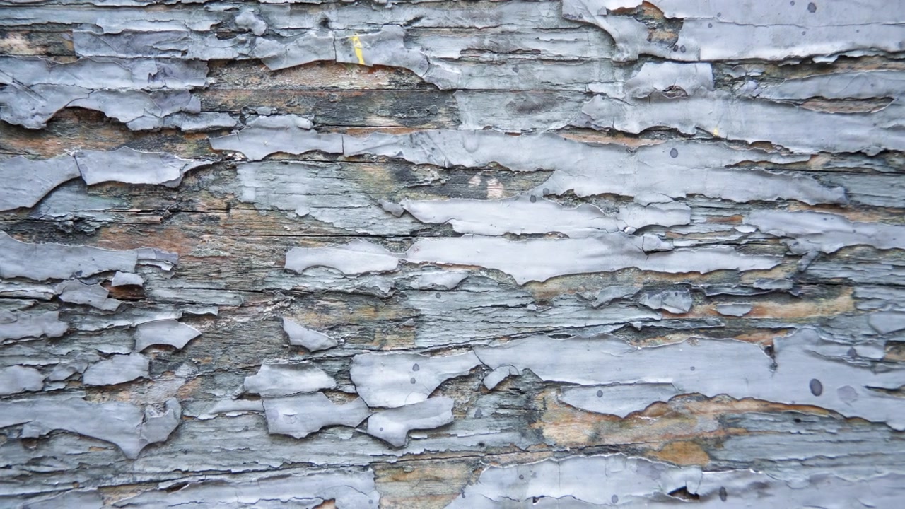 Cracked wooden material rustic texture