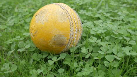 yellow cricket ball laying on green grass