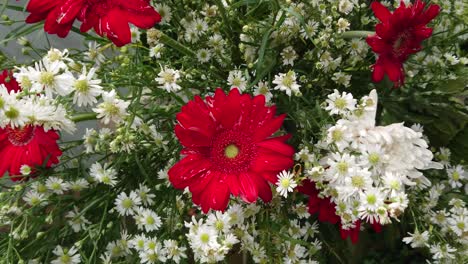 primer plano de coloridas flores para la ceremonia de la boda