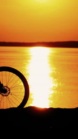 man ride a bicycle at sunset. silhouette of a man rides a bike at sunset vertical video
