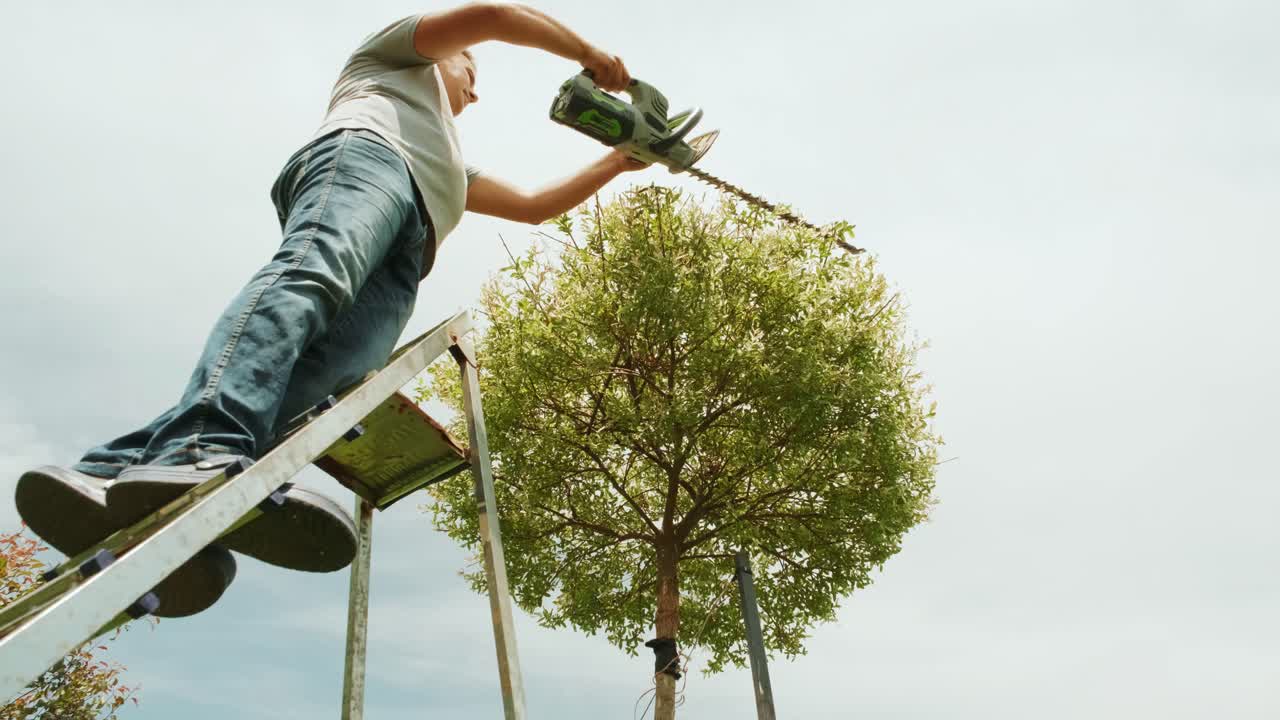 jardinero recortando árbol en el parque verde con cortador eléctrico para el seto. trabajador dando forma a árbol en el jardín. cortando planta de árbol con cortadora eléctrica de naranja en el patio trasero.