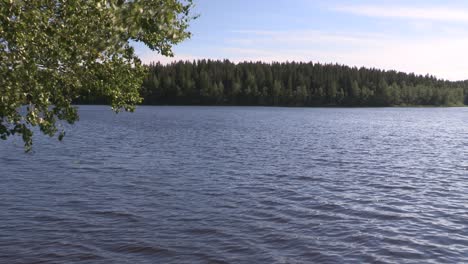 Romantischer-See-In-Finnland-Im-Sommer