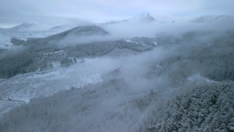 winter forest and mountain landscape covered in mist and cloud at dawn