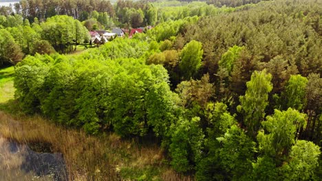 Vibrantes-Arboledas-Verdes-A-Orillas-Del-Lago-Cerca-De-La-Aldea-De-Styporc,-Condado-De-Chojnice,-Voivodato-De-Pomerania,-Norte-De-Polonia