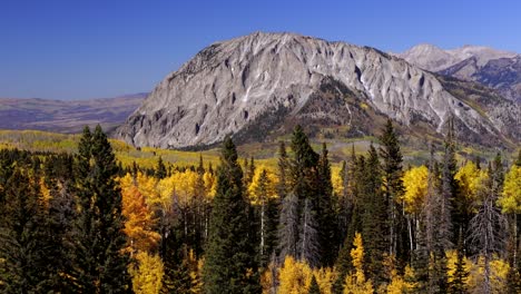 fall colors flying just above tree line looking at marcellina mountain colorado