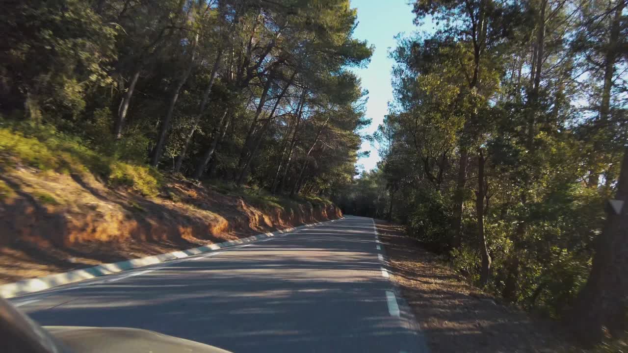Guida al rallentatore su una strada di montagna circondata da vegetazione e alberi, all'alba, vista dall'auto