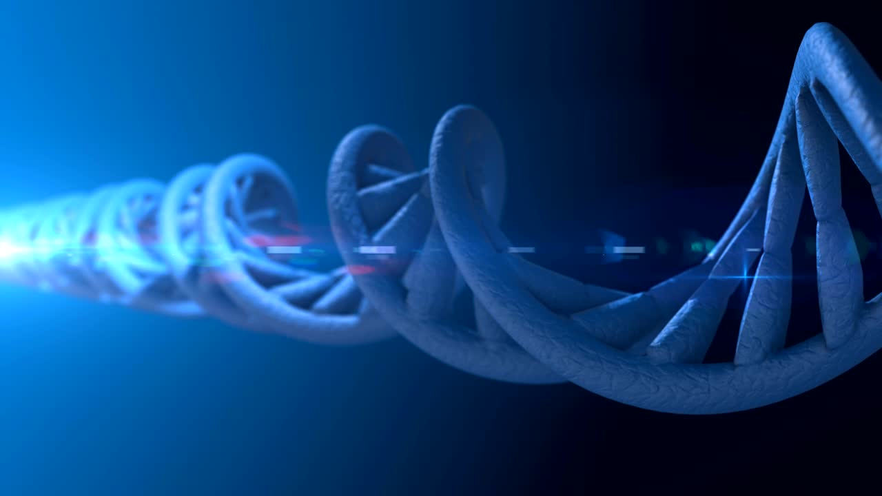 código de adn. abstracto 3d marco de alambre poligonal dna molécula hélice en espiral. animación en bucle.