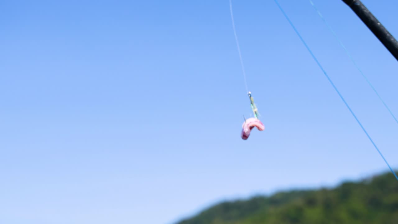 태국 푸켓의 은 푸른 하늘을 배경으로 시줄에 매달린 문어.