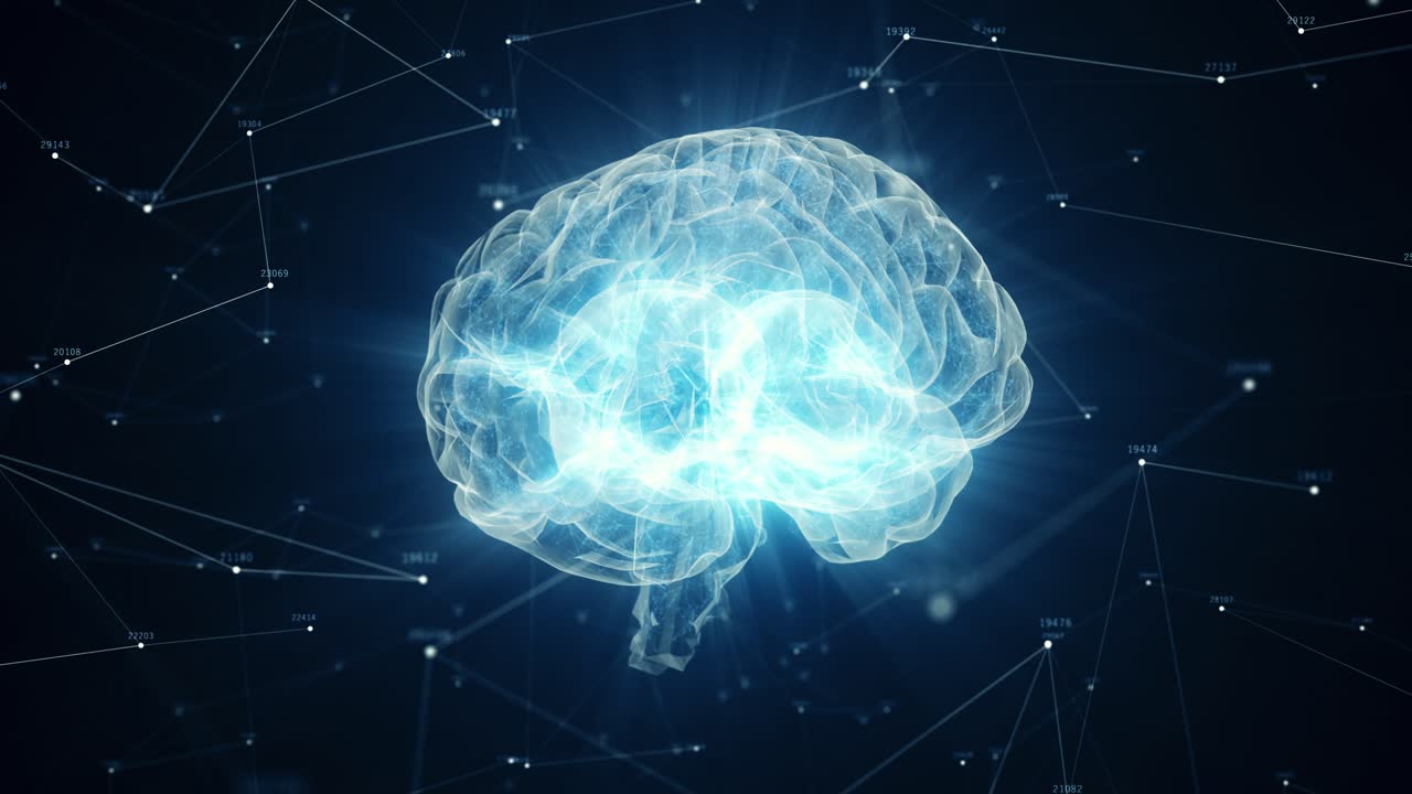 Digital Representation of a Human Brain