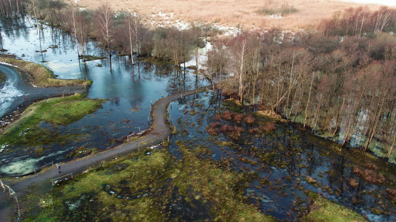 sendero de senderismo y pantano forestal inundado en invierno, aérea