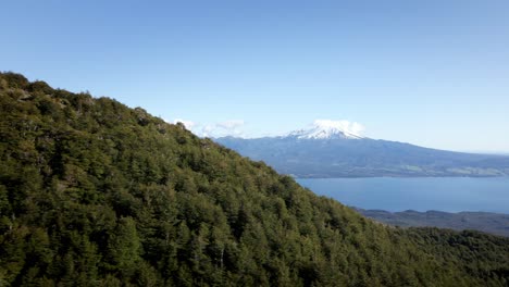 dense forest revealed snowy volcano of calbuco in los lagos region, southern chile