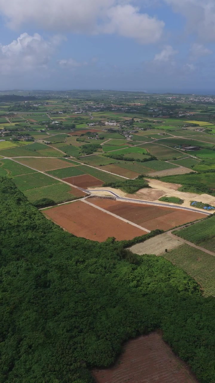Aerial View Of Vast Patchwork Of Agricultural Fields In Okinawa, Japan. - vertical shot