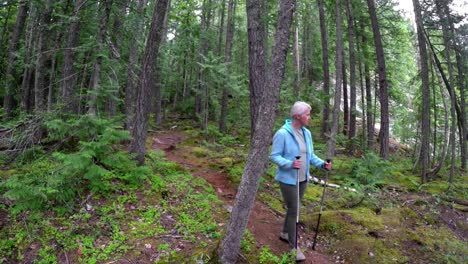 Mature-woman-walking-through-the-forest-4k