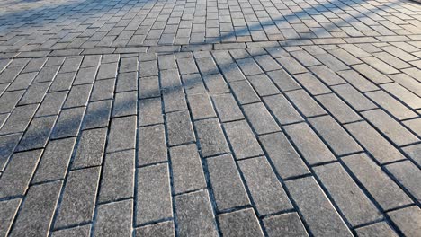 cobblestone pavement with shadows