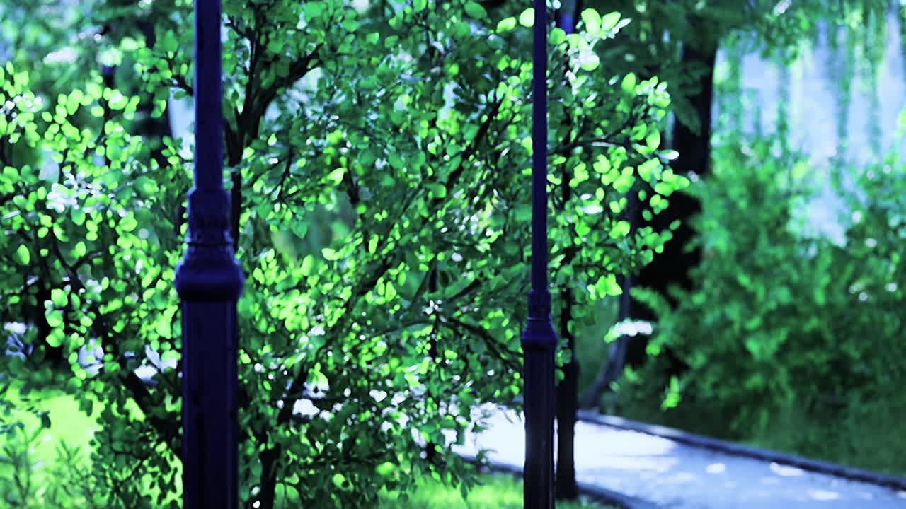 Lush greenery alongside a winding path in a serene public park setting