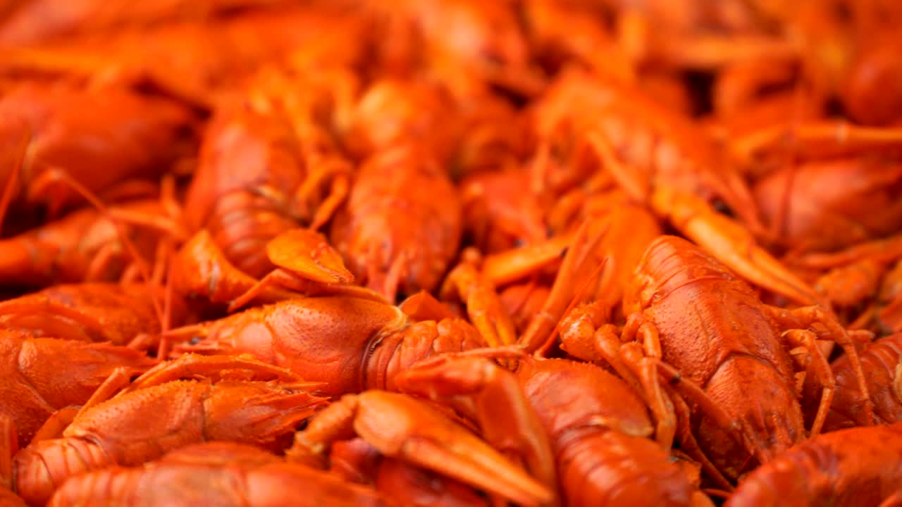 은 인 크라프시 클로즈업이 트레이에 회전하는 영상