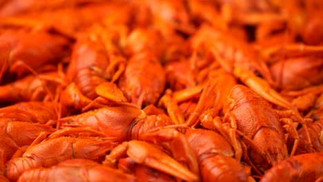 imágenes de cangrejo rojo cocido en primer plano girar en una bandeja