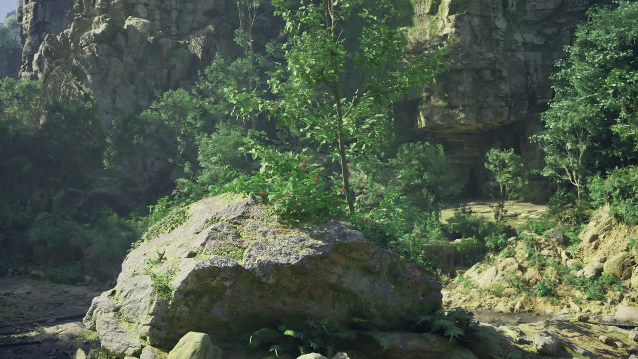 Lush greenery thriving on a rocky outcrop in a secluded natural area