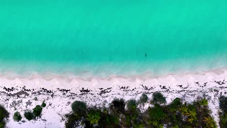 top-down pan of bahamas beach and water, aerial view