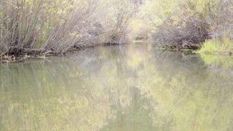 stationary view looking upstream of clear, clean creek flowing in autumn