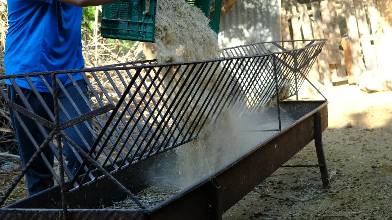 양이 을 먹는 동물 농장