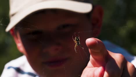 boy pointing at a spider on a web