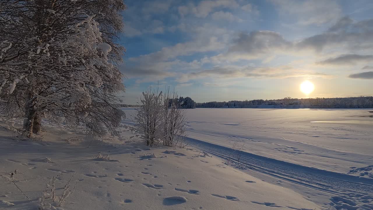Laponia na Kole Podbiegunowym, delikatny wiatr w zamarzniętym drzewie obok jeziora, majestatyczna Finlandia.
