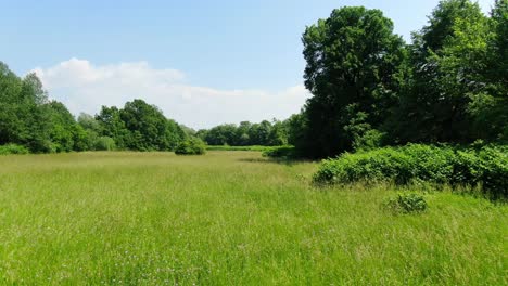 Langsamer-Flug-Durch-Offenes-Feld-Mit-Gras-Und-Bäumen-Und-Blauem-Himmel-Darüber