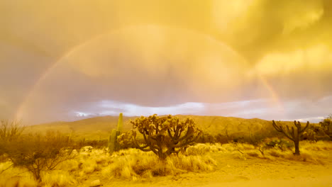 dramatic beautiful arizona desert landscape with cactus and rainbow during sunset