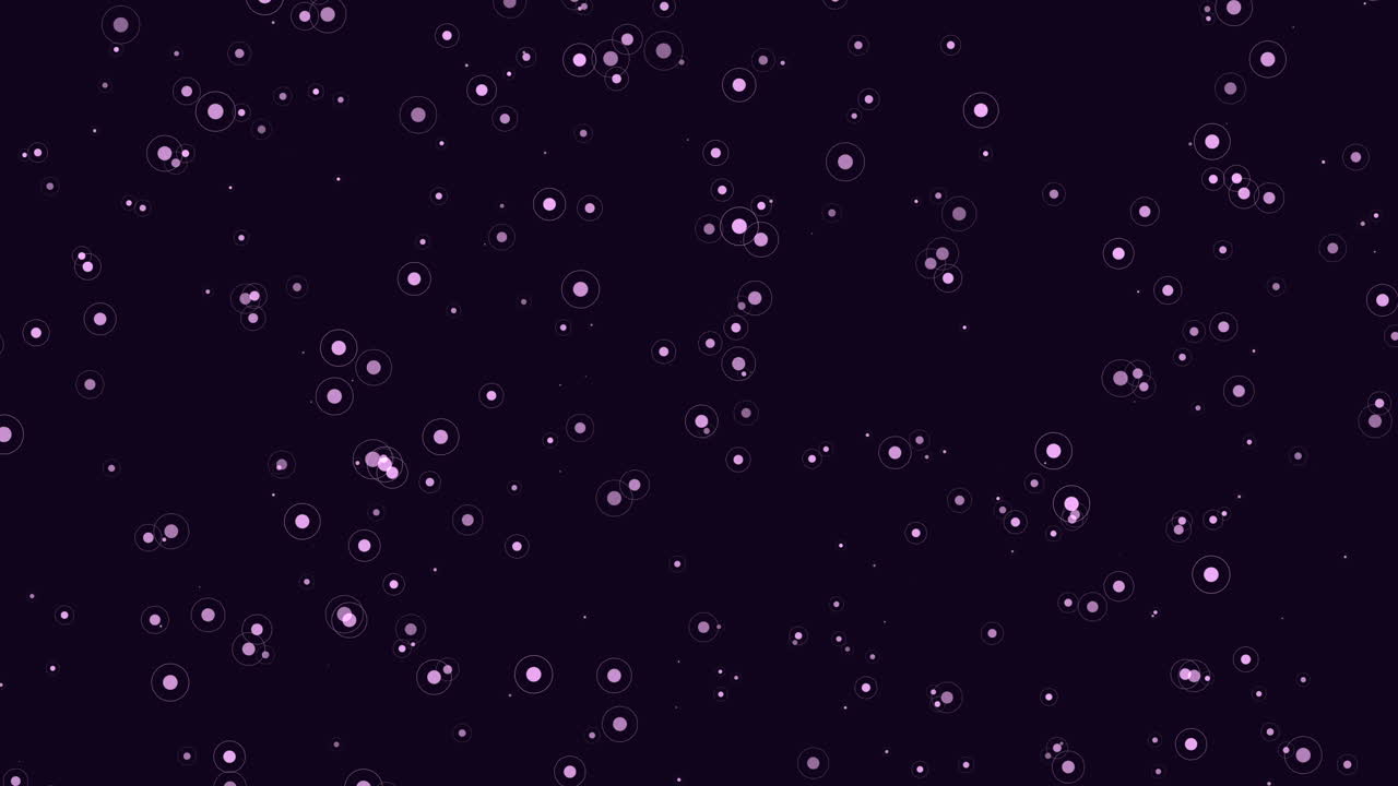 어두운 공간에서 네온 컬러로 화려한 반짝이를 날다