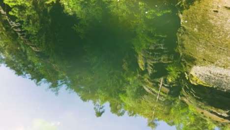 reflection of forest in calm water