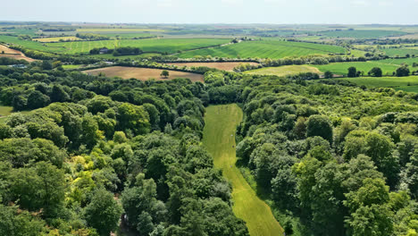 aerial drone video of a uk summer park—individuals savoring a meandering stream, delightful picnic spots, and a wooded attraction