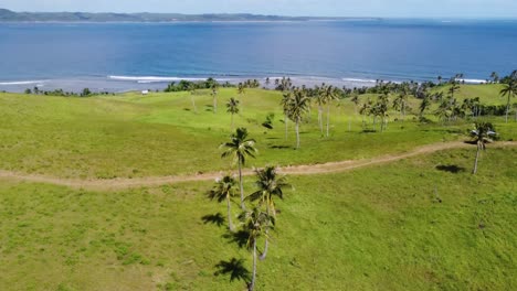 hut on trail amid green pasture hills and coconut palms on corregidor island