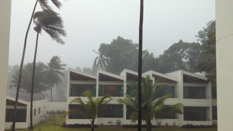 Tifón-En-El-Golfo-De-Tailandia-Soplando-Las-Palmeras-Con-Fuertes-Lluvias