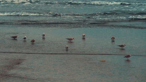 Hermosas-Olas-Del-Océano-Atlántico-En-La-Playa-De-Carcavelos,-Portugal,-Tonos-Asombrosos