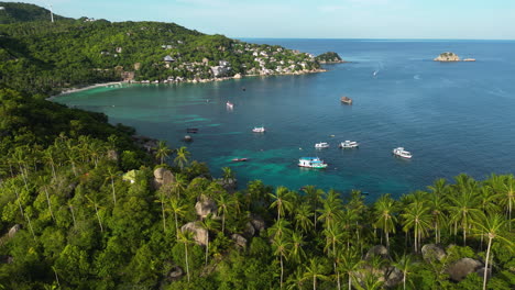 aerial of shark bay koh tao thailand , drone above palm tree tropical beach with boat moored at ocean waiting for diving classes course for tourist