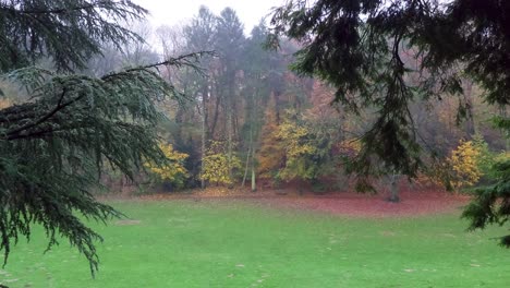 Camino-Del-Parque-Forestal-De-Otoño-En-Un-Día-Lluvioso