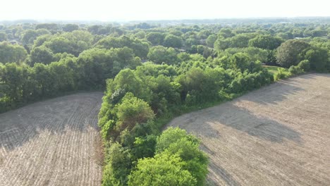 Flying-over-a-field,-over-trees,-toward-a-road