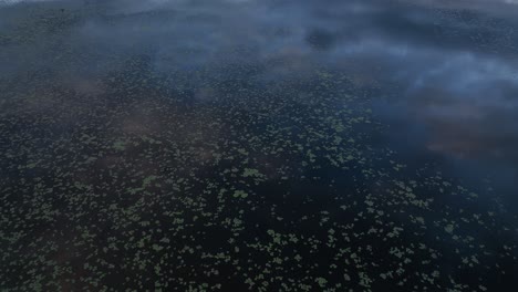 Algae-sitting-on-surface-of-calm-river-reflection-clouds