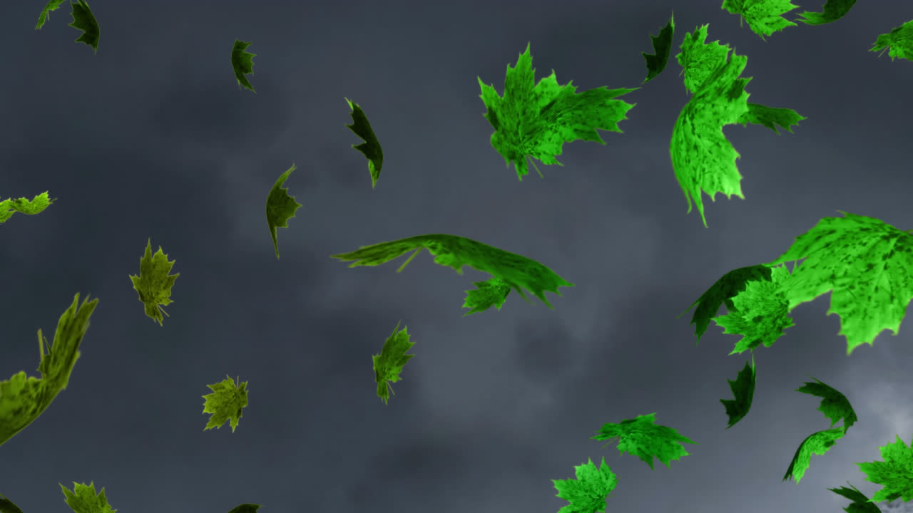 Animazione digitale di molteplici foglie d'acero autunnali che fluttuano su sfondo grigio testurizzato