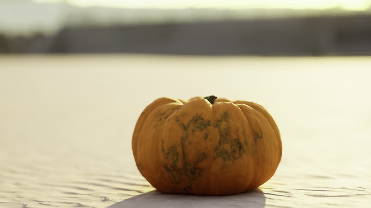 Pumpkin placed on a marble surface in soft afternoon light