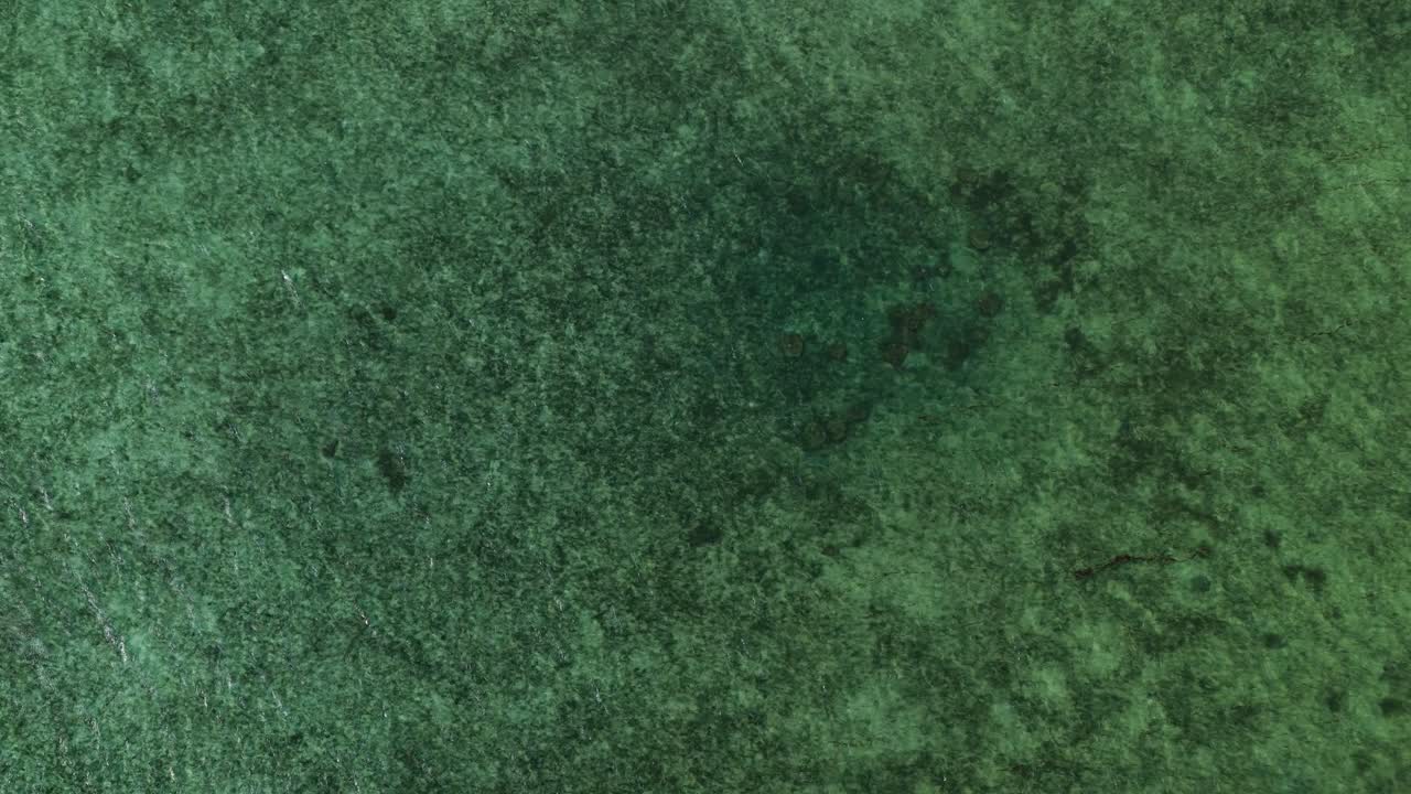 Vue aérienne par drone en plongée d'eau turquoise et de fond de récif corallien dans le lagon de Palau.