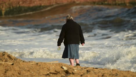 Dame-Geht-Am-Strand-Entlang-Und-Sammelt-Muscheln