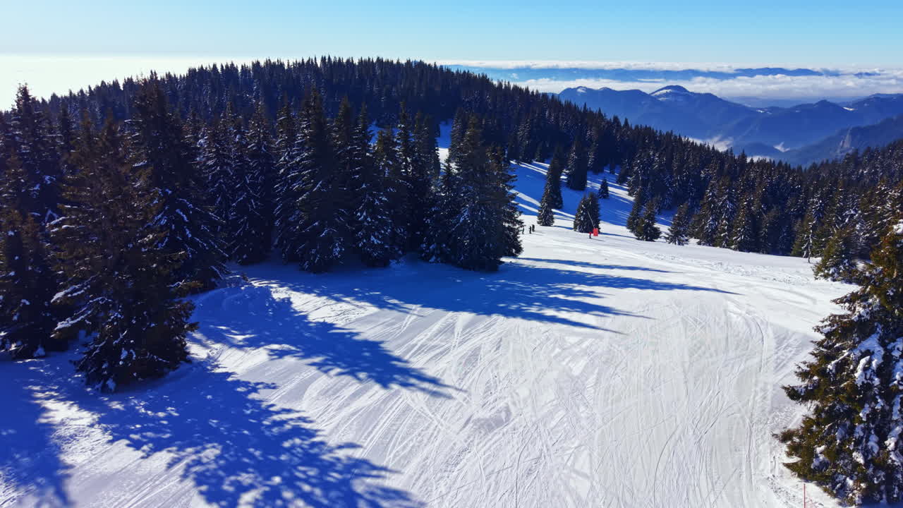Paesaggio invernale innevato con piste da sci e alberi ad alto fusto su una montagna di giorno.