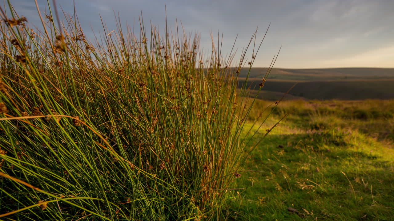 puesta de sol exmoor 4k 02