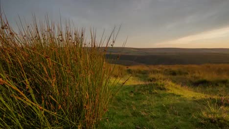 Exmoor-Sonnenuntergang-4k-02