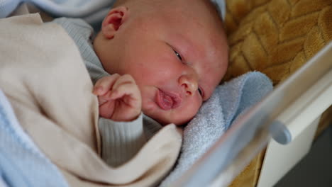 few hours old infant waking up from his dream. newborn starts to move in a crib and cry but dad's hands calms him down. close up.