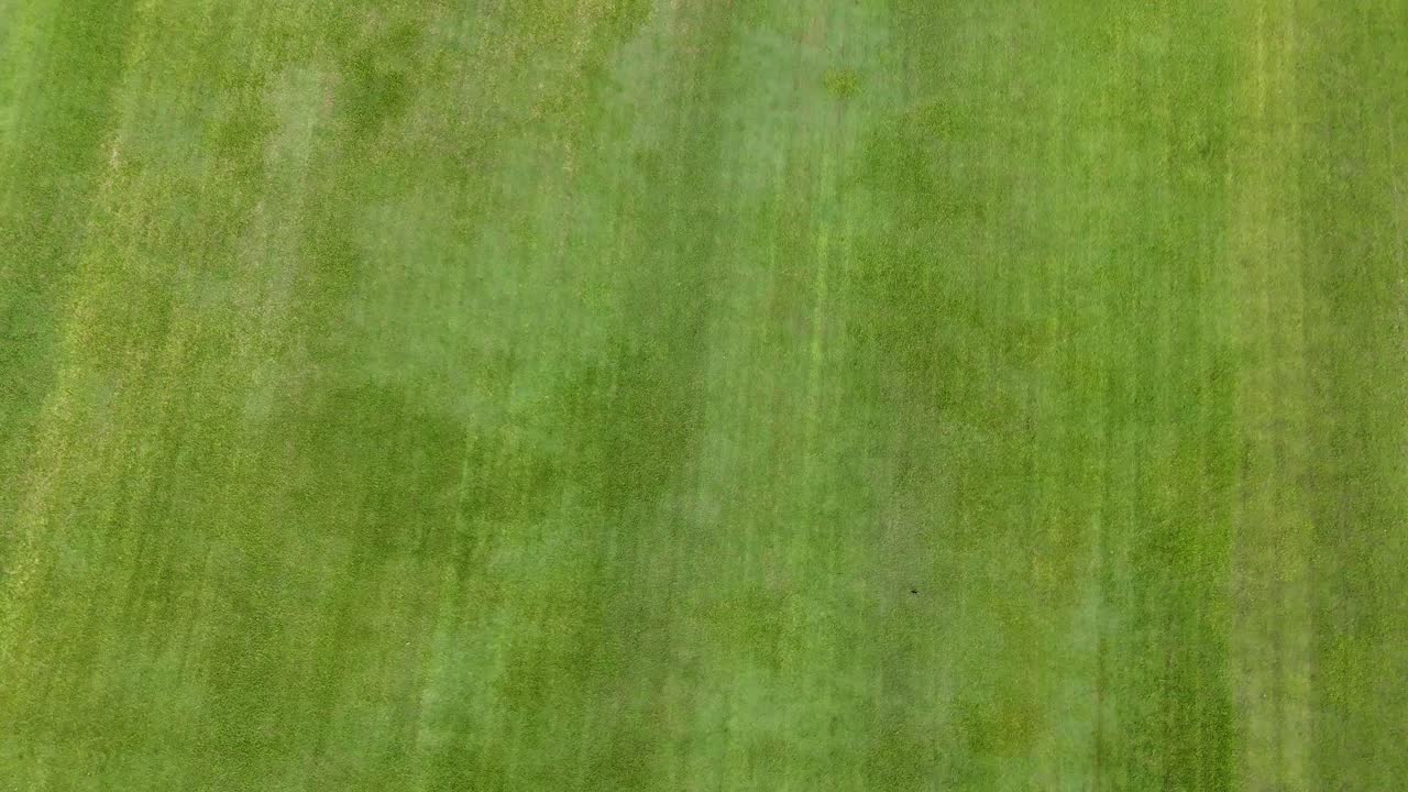 imágenes aéreas de un paisaje herboso