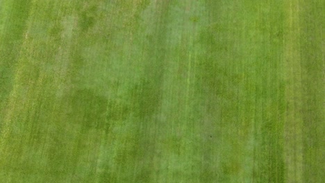 aerial footage of a grassy landscape